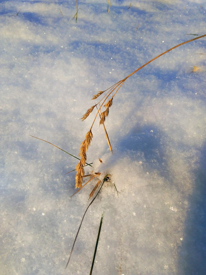 Frost und die Sonne :) :) :)