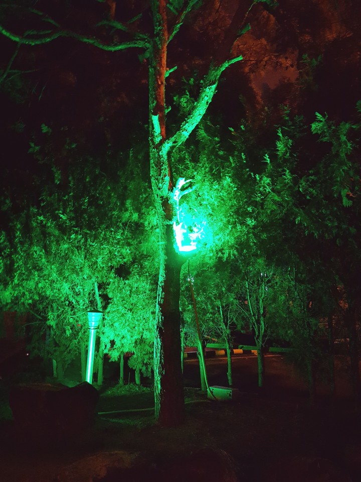green light