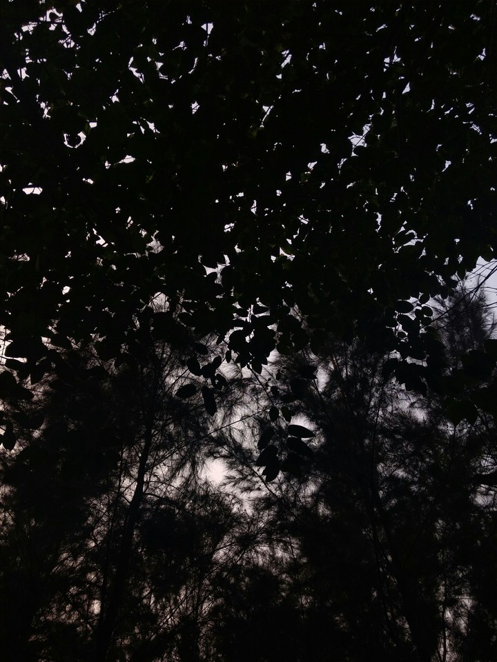 hope