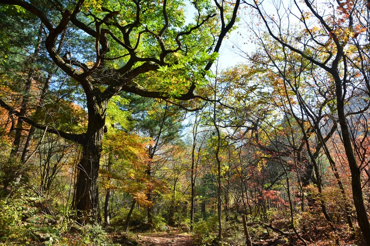 산이미지