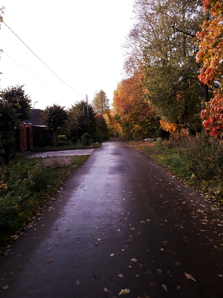 September