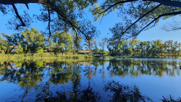 The river Tikhaya Sosna
