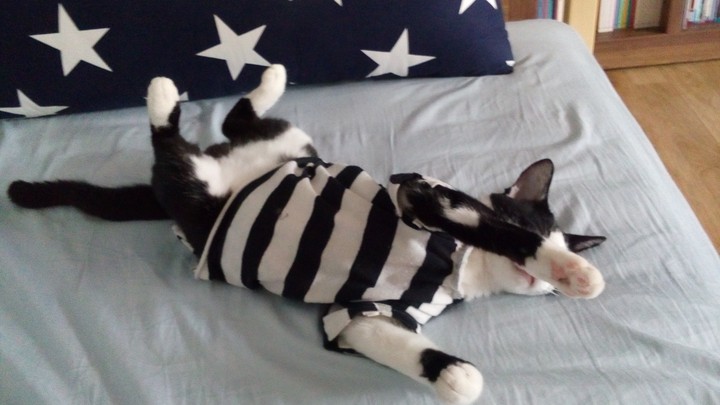 zzzzz