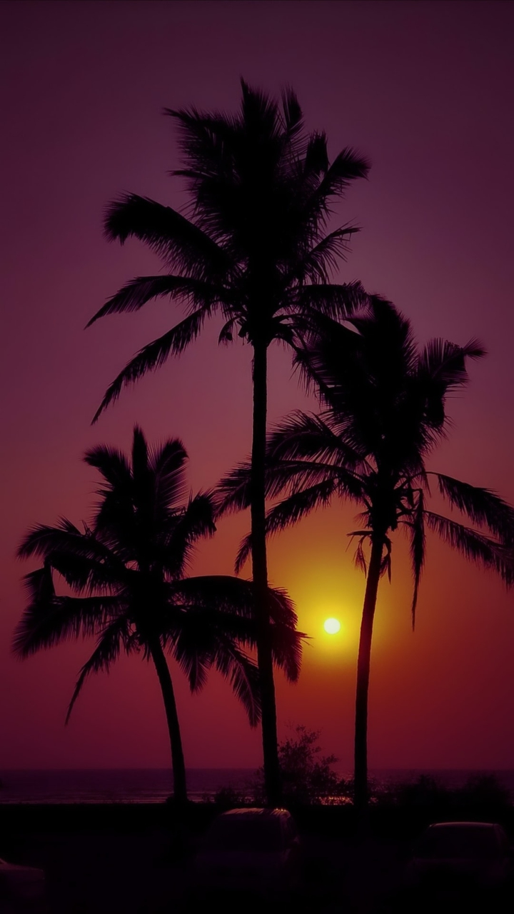Beautiful Sunset