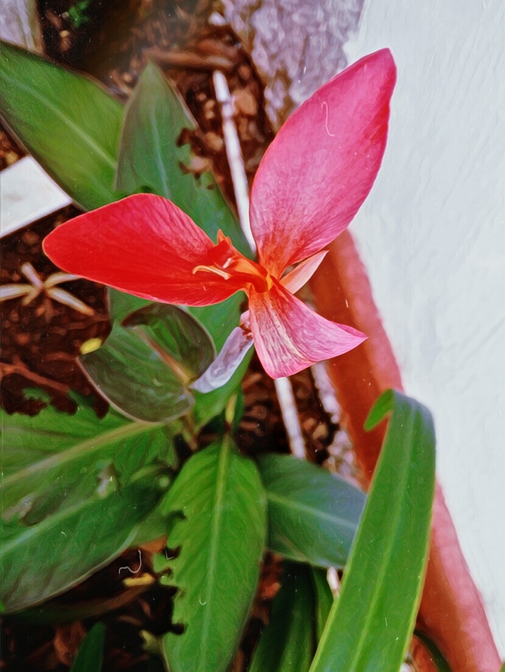 Un flower