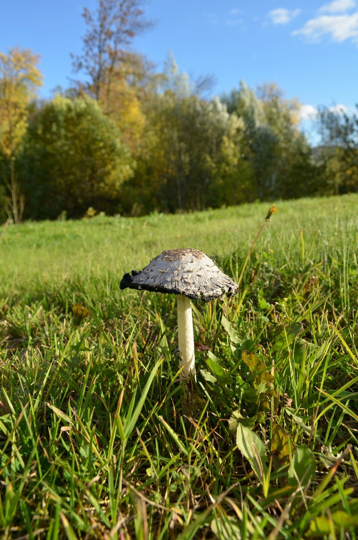 Осень