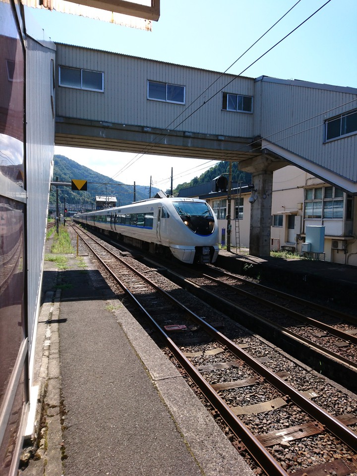 サンダーバード、停まりません‼️