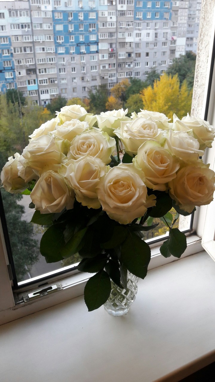 Розы и осень