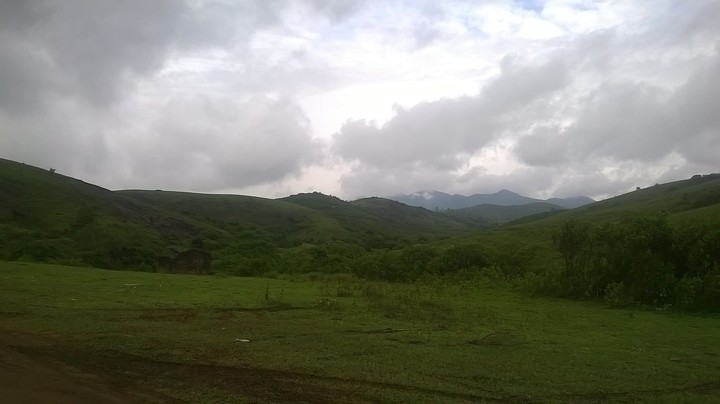 Nature
