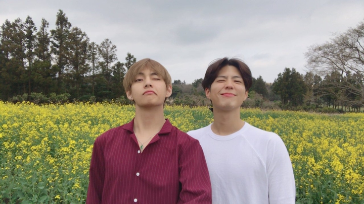 BTS V&PARK BOGUM