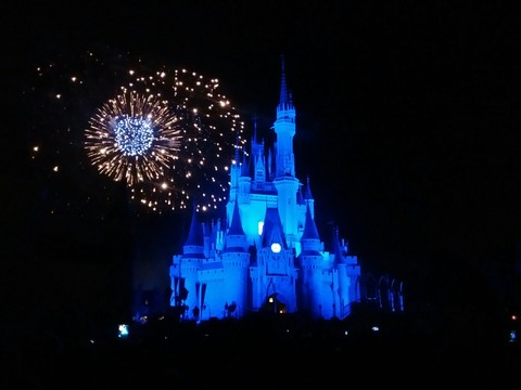 Night in Magic Kingdom
