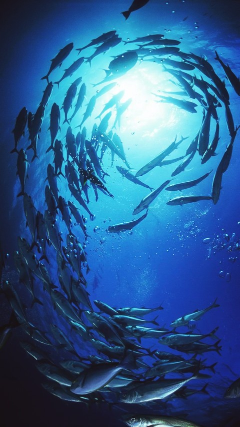 under water