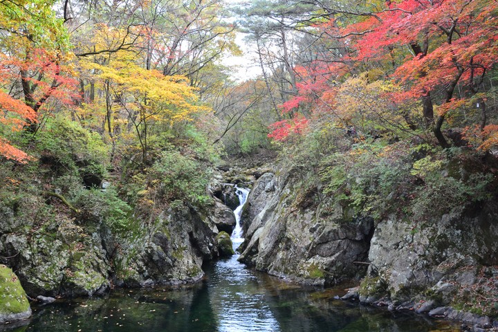 치악산이미지