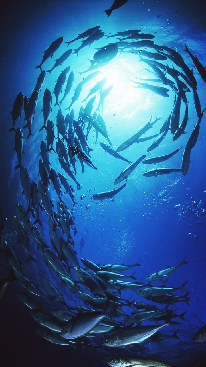 under water