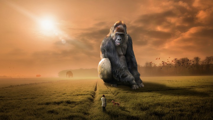 Gorilla fantasy