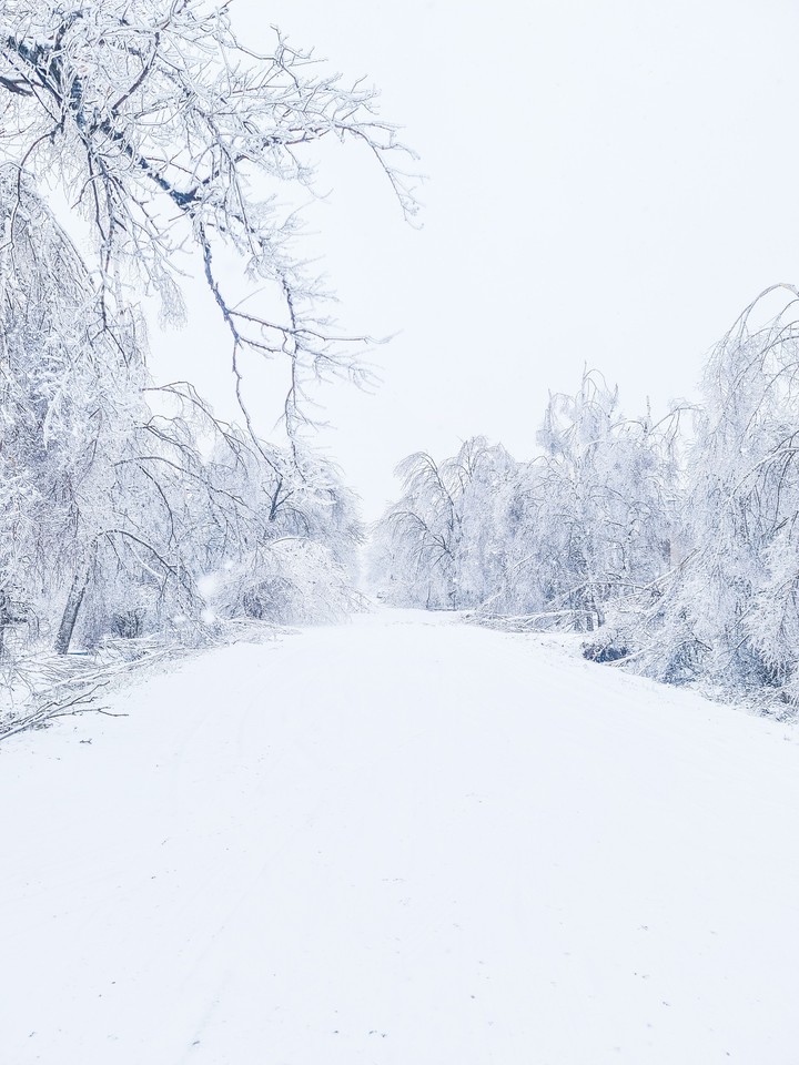 Winter