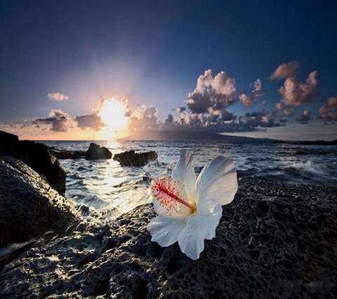 beautiful landscape