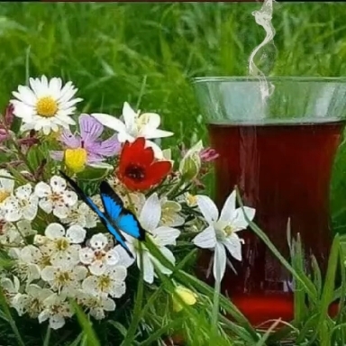 Good morning.