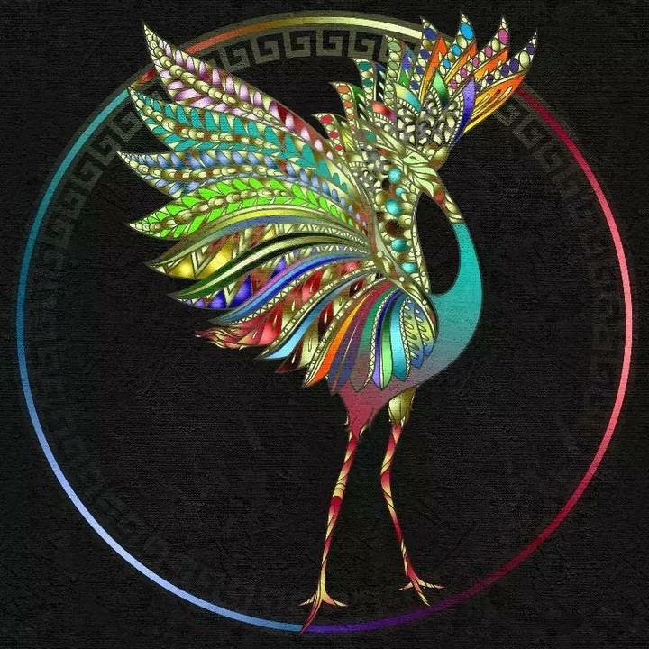 Royal peacock