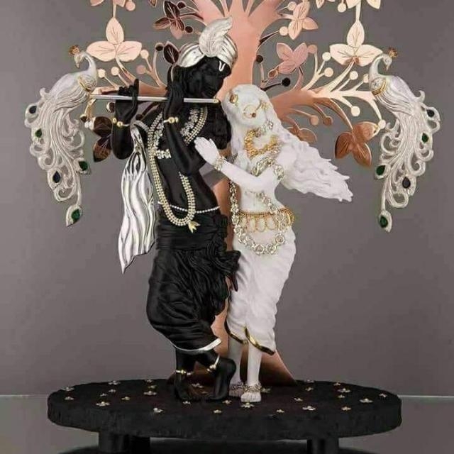 radhe shyama❤❤