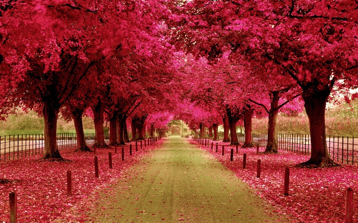 #spring