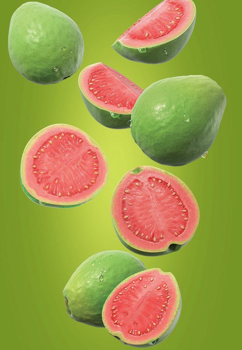 plant, colorfulness wallpapers