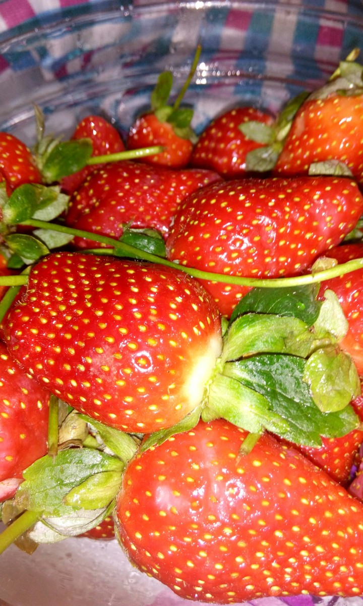 çilek - strawbery