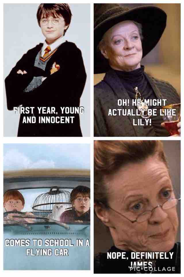 Potter