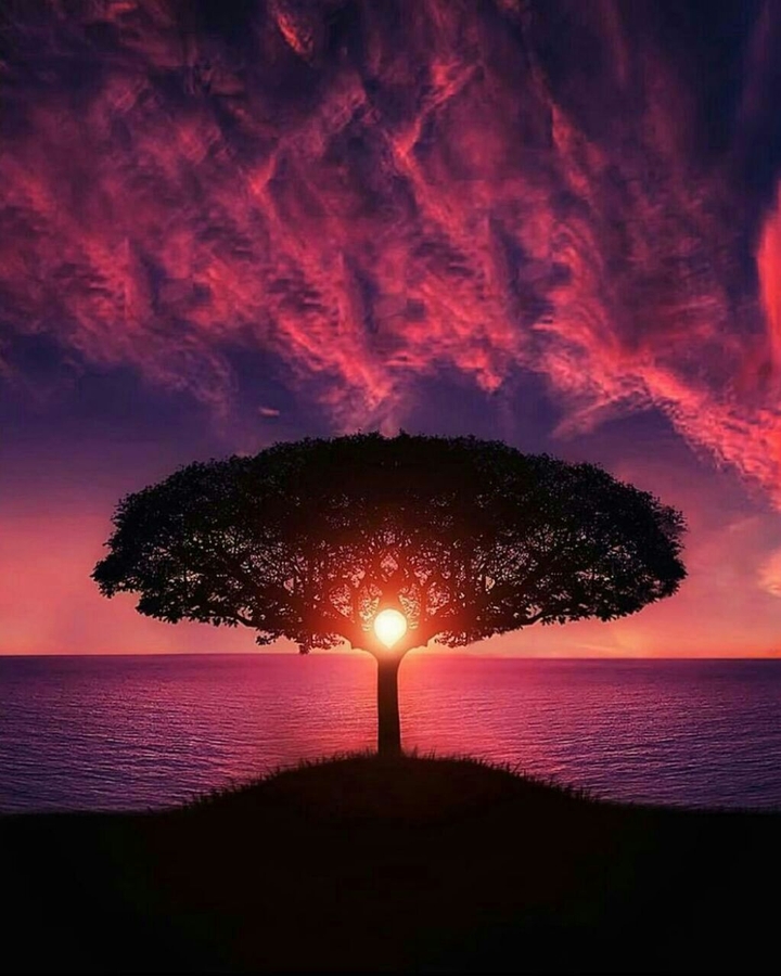 Evening