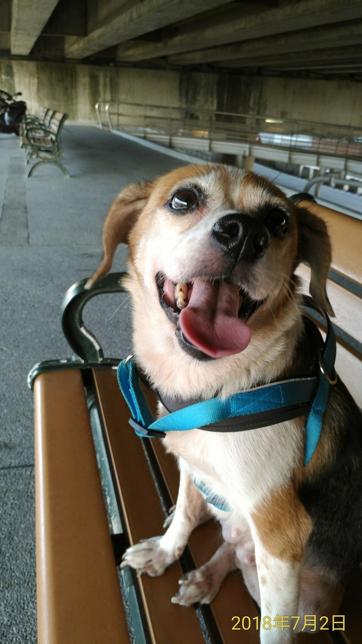 望