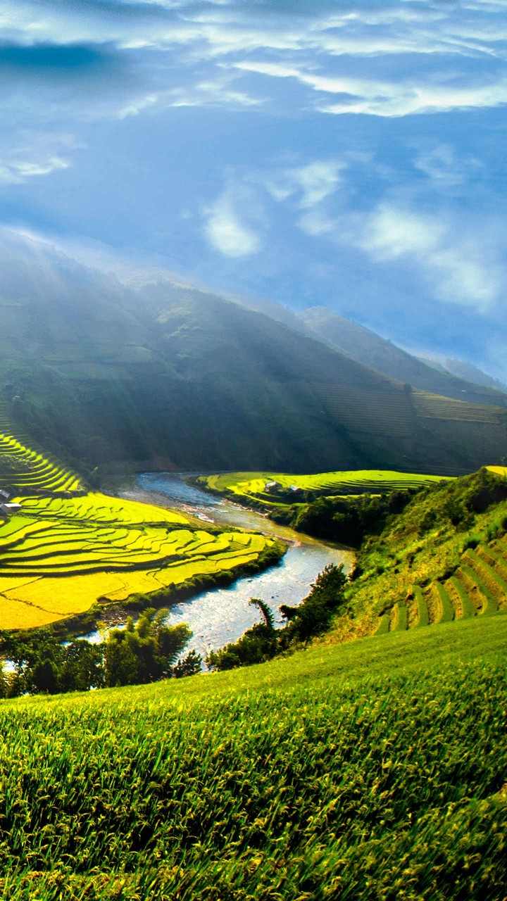 nature