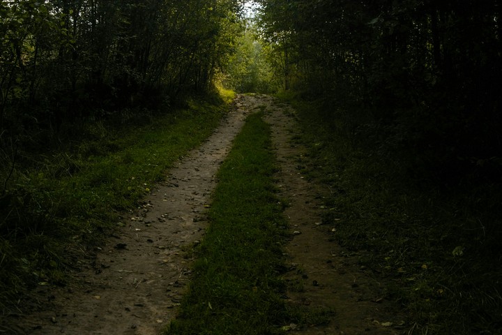 красивая дорожка