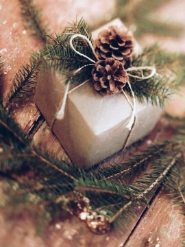 A jolly Christmas!