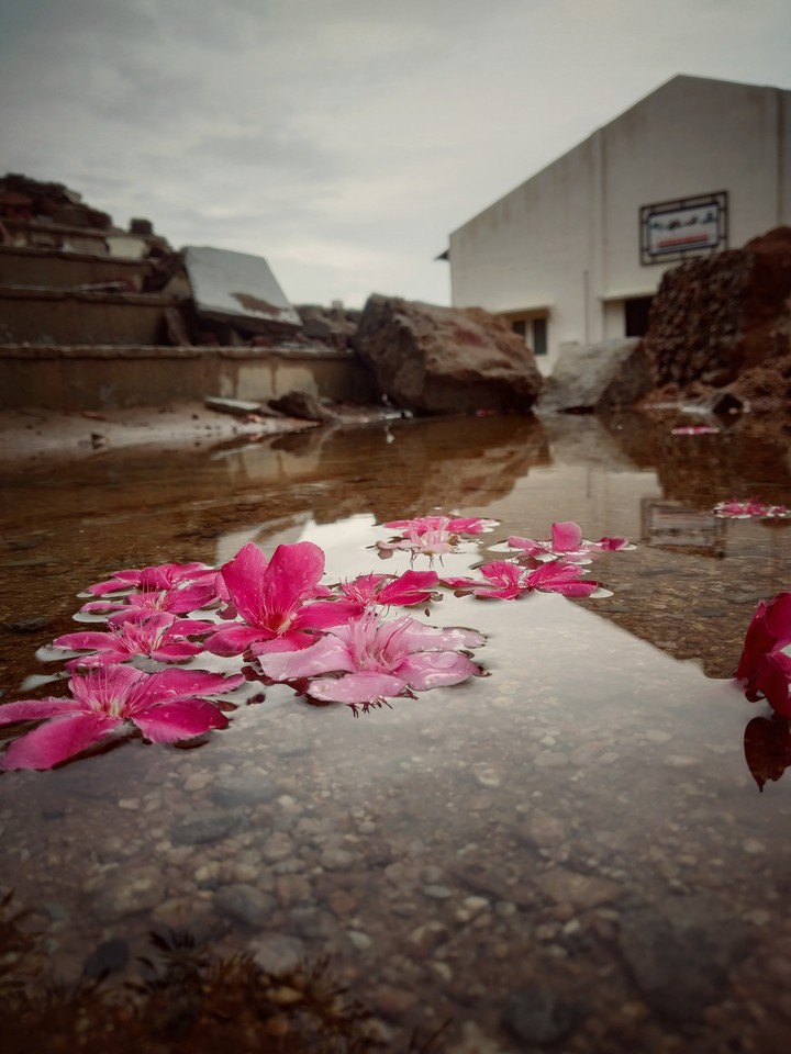 After rain scenes