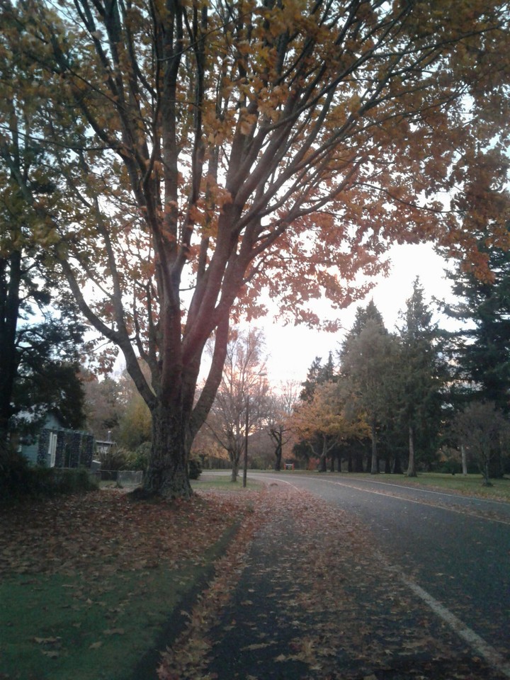Autumn is here 