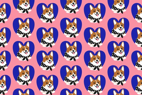 Corgi