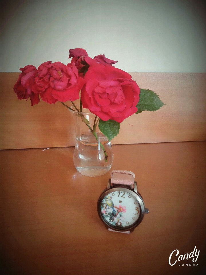 roses and watch \ güller ve saat
