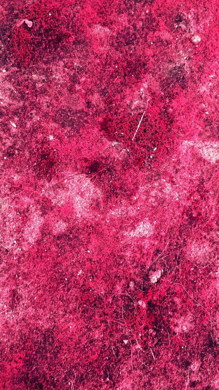 Magenta&