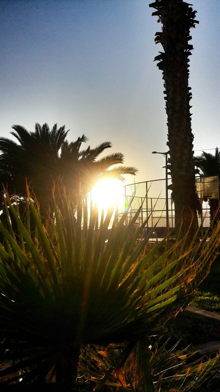Sunset