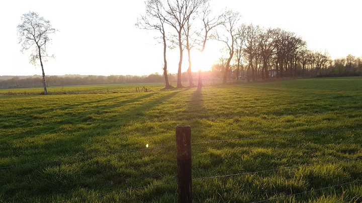 Pasture