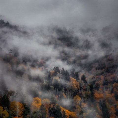風景, grass桌布