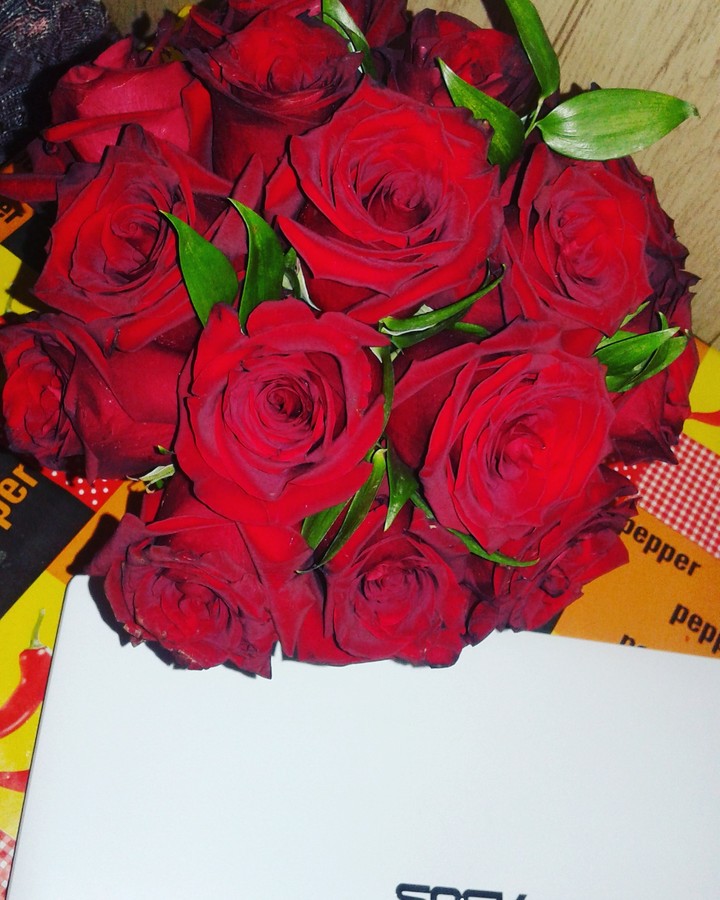 розы,red,цветы