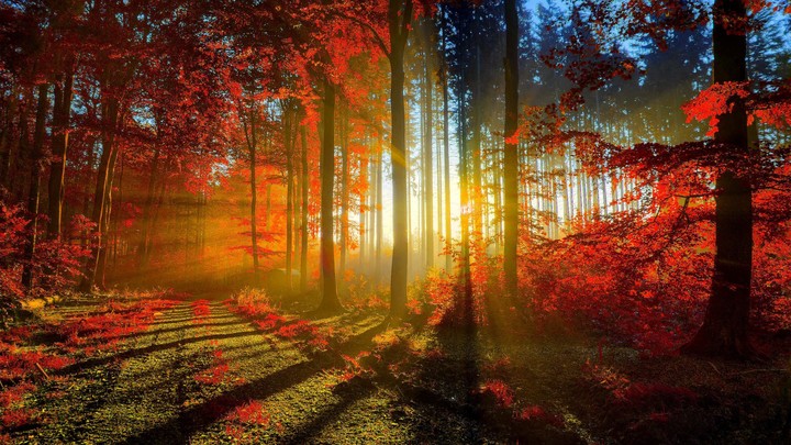 Autumn