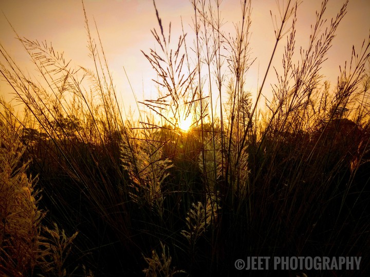 morning glowing