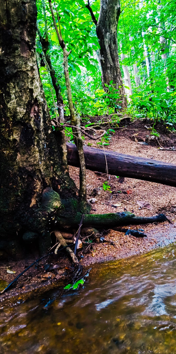 stream