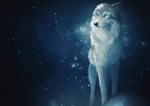 Anime wolf ♥♥