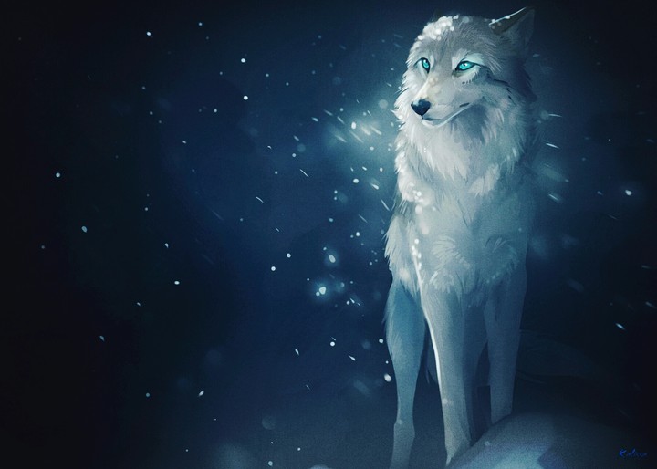 Anime wolf ♥♥