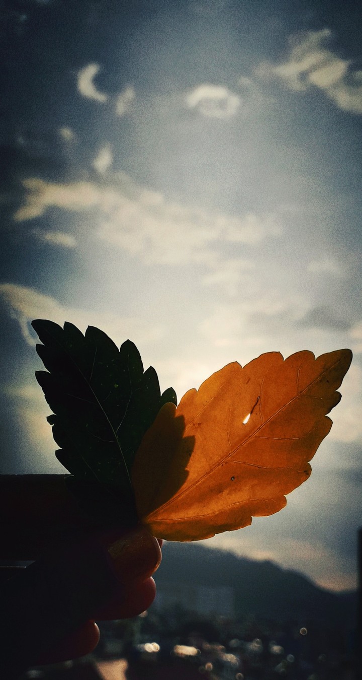 Wings are small but ripples of heart are infinite!