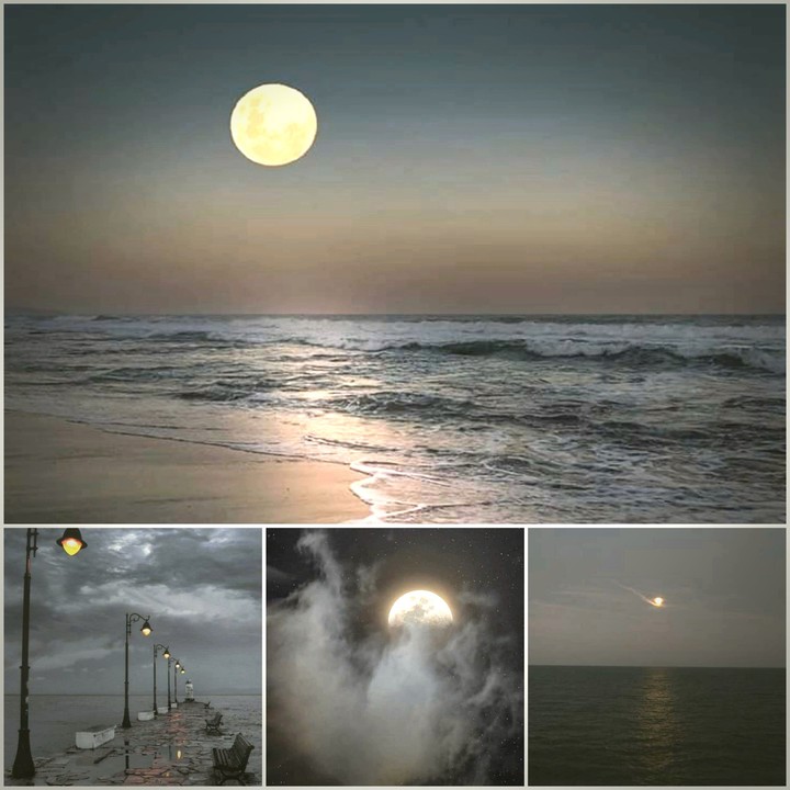moon light on the sea