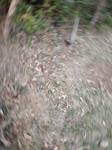 whirl